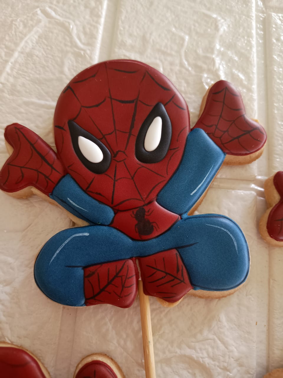 aranha.jpg